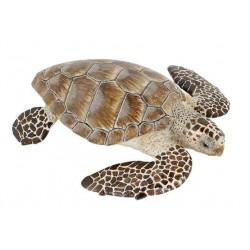 Tortue caouanne de la mer