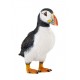 Puffin