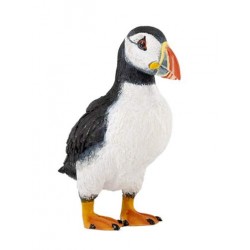 Puffin