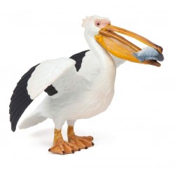 Pelican