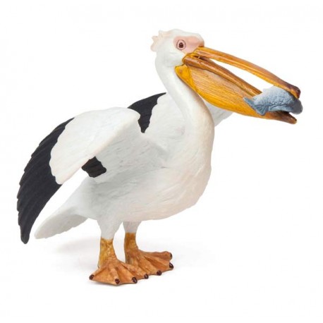 PÉLICAN