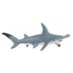 HAMMERHEAD SHARK