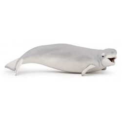 BELUGA WHALE