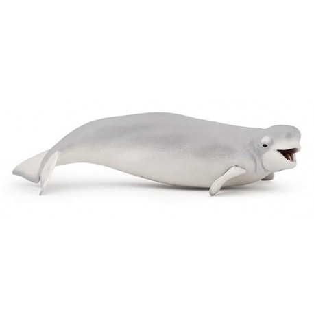 BELUGA WHALE