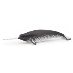 NARWHAL