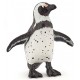 AFRICAN PENGUIN