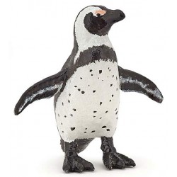 AFRICAN PENGUIN
