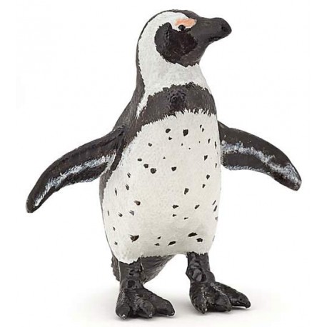 AFRICAN PENGUIN