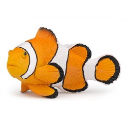 CLOWNFISH