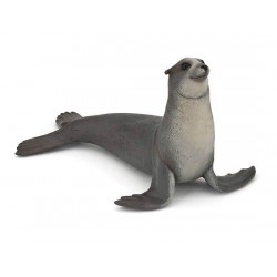 SEA LION