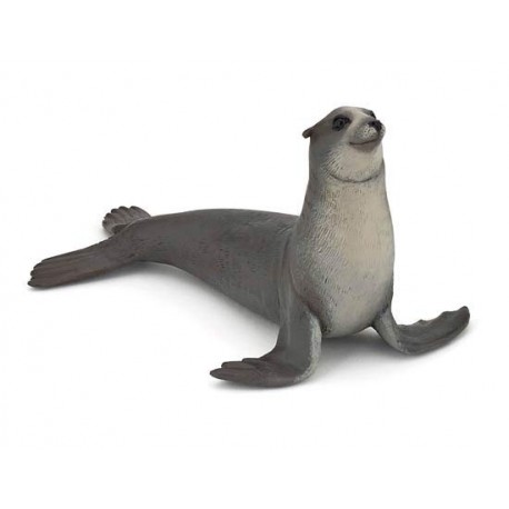 SEA LION