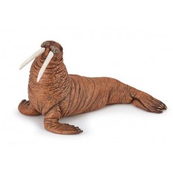 WALRUS