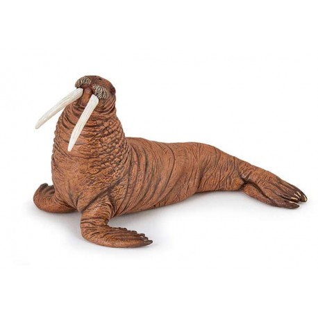 WALRUS