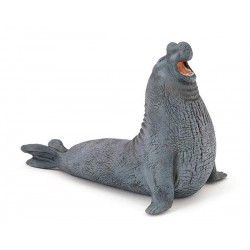 ELEPHANT SEAL