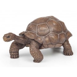 TORTUE DES GALAPAGOS