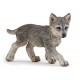 Wolf cub