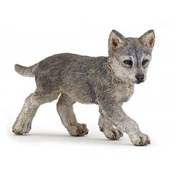 Wolf cub