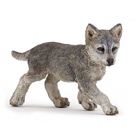 Wolf cub