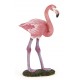 Flamant rose