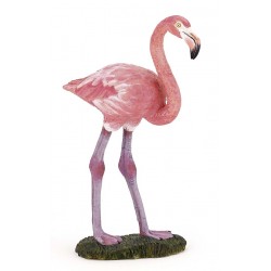 FLAMANT ROSE