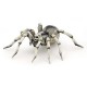 TARANTULA