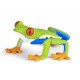 RED-EYED TREE FROG