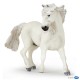 CAMARGUE