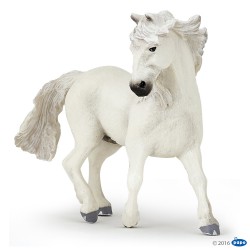 CAMARGUE HORSE