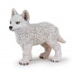 JEUNE LOUP POLAIRE