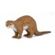 LOUTRE