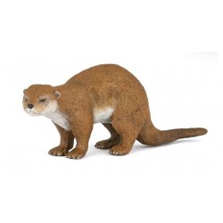 LOUTRE