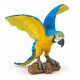 Blue ara parrot