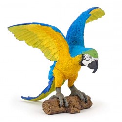 Blue ara parrot