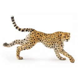 Running cheetah