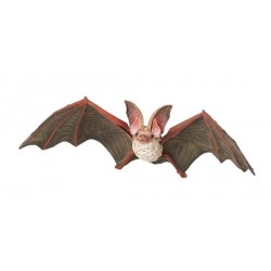 CHAUVE-SOURIS