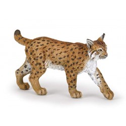 LYNX