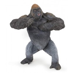 MOUNTAIN GORILLA