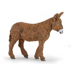 BAUDET DE POITOU