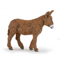 Poitou donkey