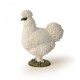 POULE SOIE