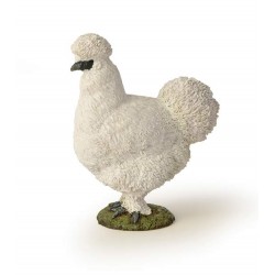POULE SOIE