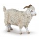CHÈVRE ANGORA