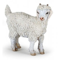 CHEVREAU ANGORA