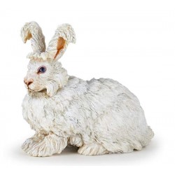 LAPIN ANGORA