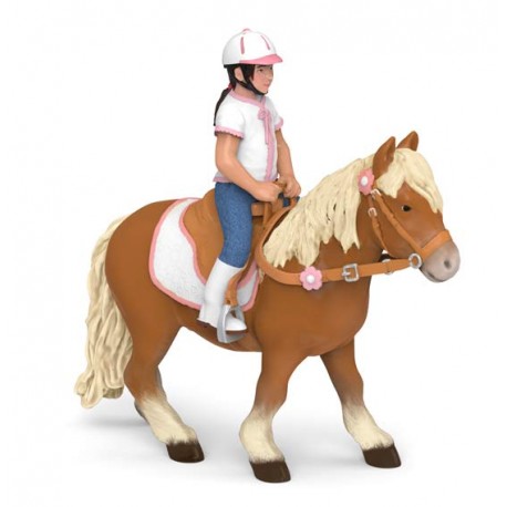 Shetland pony with saddle