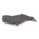 SPERM WHALE