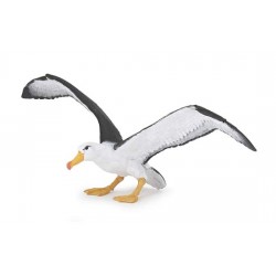 ALBATROSS