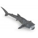 Requin baleine