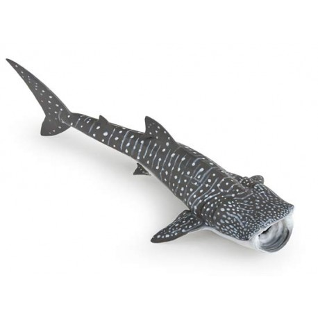 WHALE SHARK