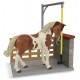 BOX DE LAVAGE